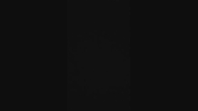 rex_2327  16-04-2022